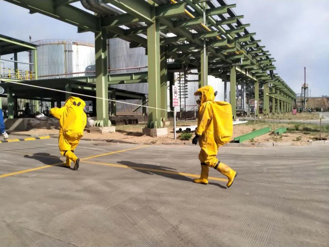 1589633149127682.jpeg 1589633149127682.jpeg