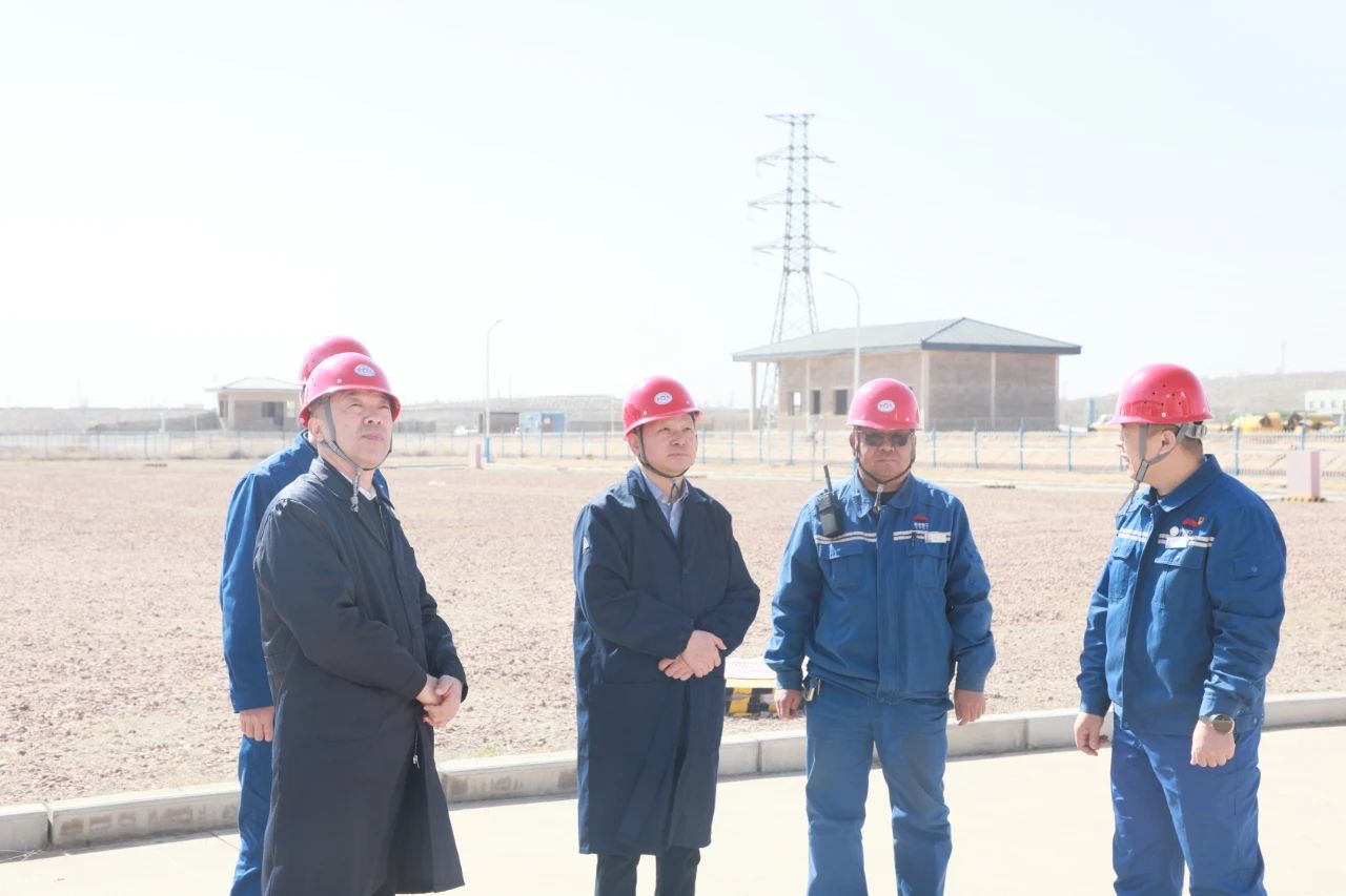 1744331483917552.jpeg 6.jpg