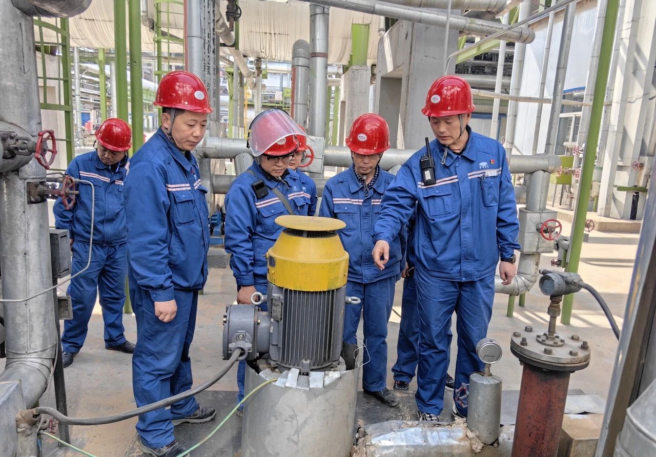 1748480793524657.jpeg 6.jpg