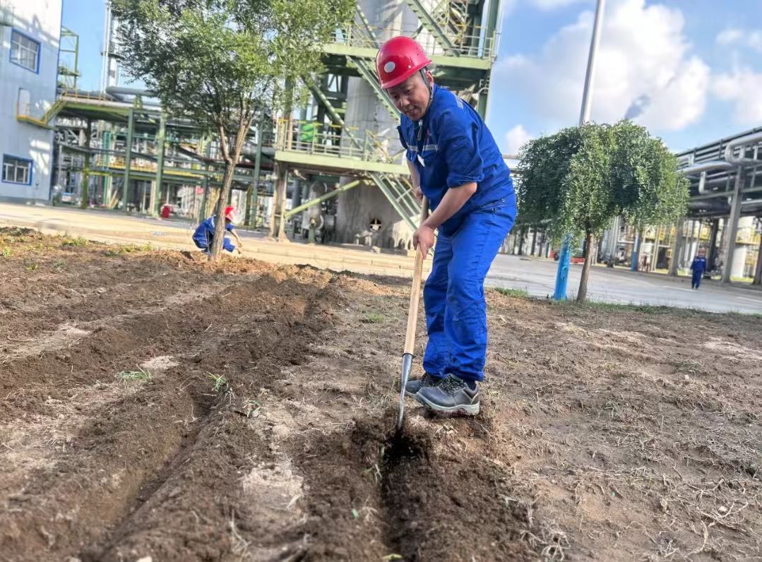 1752542648974406.jpeg 1752542648974406.jpeg