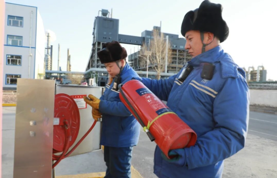 1769595096354696.png 12.png