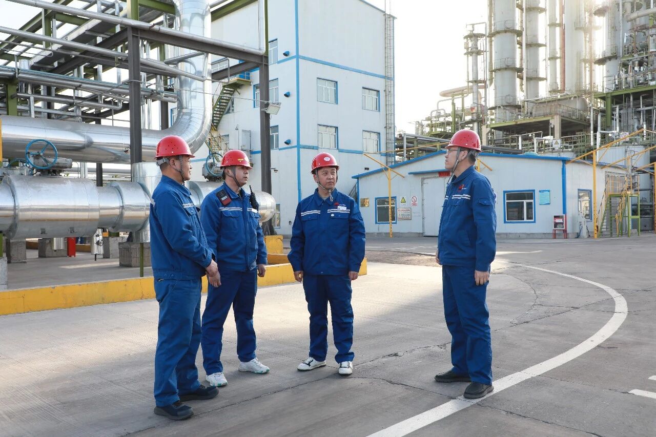 1771028112125424.jpeg 01.jpg