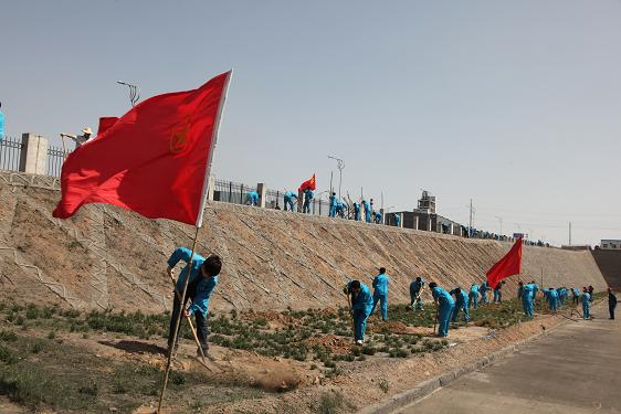 植樹活動現場 植樹活動現場